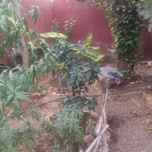  Appartement Chez Fatima Maroc